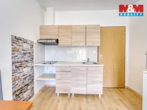Pronájem bytu 1+kk, Plzeň, Nepomucká, 28 m2