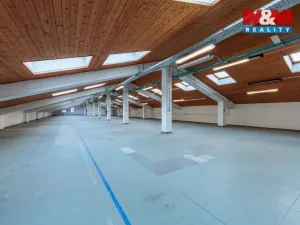 Prodej obchodního prostoru, Nejdek, Karlovarská, 5519 m2