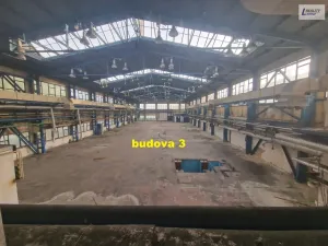 Pronájem výrobních prostor, Příbram - Příbram I, Obecnická, 2200 m2