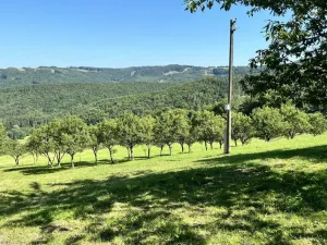 Prodej pozemku pro bydlení, Vyškovec, 5950 m2