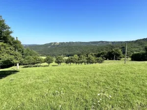 Prodej pozemku pro bydlení, Vyškovec, 5950 m2