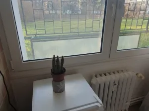 Pronájem bytu 1+kk, Praha - Karlín, Nekvasilova, 29 m2