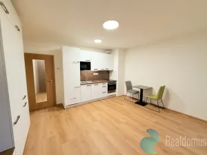 Pronájem bytu 1+kk, České Budějovice, Dobrovodská, 31 m2