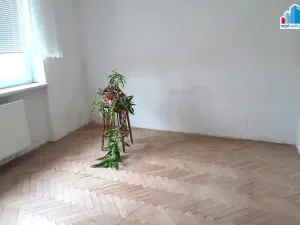 Prodej bytu 3+1, Planá, 63 m2