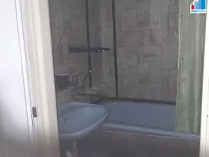 Prodej bytu 3+1, Planá, 63 m2