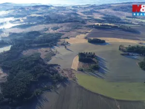 Prodej lesa, Bohdalov, 34642 m2