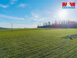 Prodej pozemku pro bydlení, Svojšice, 1000 m2