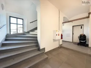 Pronájem bytu 2+kk, Osek, Tovární, 50 m2