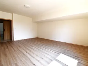 Pronájem bytu 2+1, Plzeň - Východní Předměstí, Krejčíkova, 62 m2