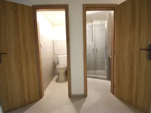 Pronájem bytu 2+1, Plzeň - Východní Předměstí, Krejčíkova, 62 m2