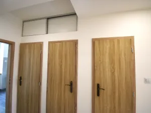 Pronájem bytu 2+1, Plzeň - Východní Předměstí, Krejčíkova, 62 m2