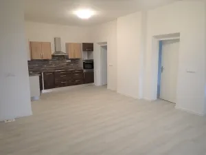 Pronájem bytu 3+kk, Liberec - Liberec III-Jeřáb, Americká, 94 m2