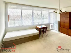 Prodej bytu 1+kk, Chomutov, Kundratická, 29 m2