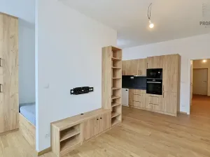 Pronájem bytu 2+kk, Brno, Stavební, 41 m2