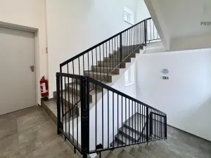 Pronájem bytu 2+kk, Brno, Stavební, 41 m2