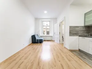 Pronájem bytu 1+1, Praha - Nusle, Oldřichova, 48 m2