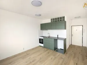 Pronájem bytu 1+1, Písek - Budějovické Předměstí, třída Přátelství, 37 m2