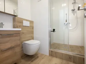 Pronájem bytu 1+1, Písek - Budějovické Předměstí, třída Přátelství, 37 m2