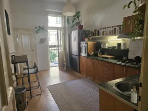 Pronájem bytu 2+1, Praha - Vinohrady, Slovenská, 90 m2