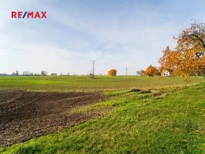 Prodej pozemku pro bydlení, Všechlapy, 9214 m2