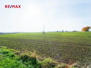 Prodej pozemku pro bydlení, Všechlapy, 9214 m2