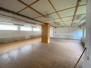 Dražba skladu, Vidnava, Klášterní, 1138 m2