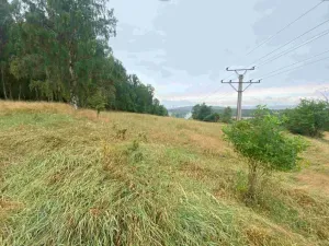 Dražba louky, Nové Sedlo, 49321 m2