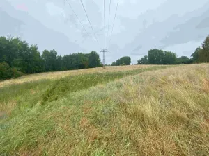 Dražba louky, Nové Sedlo, 49321 m2