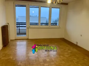 Pronájem bytu 1+kk, České Budějovice, El. Krásnohorské, 30 m2