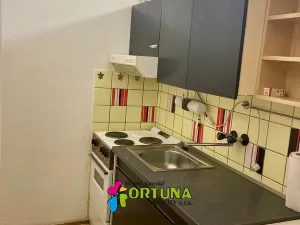 Pronájem bytu 1+kk, České Budějovice, El. Krásnohorské, 30 m2
