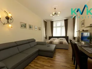 Prodej apartmánu, Karlovy Vary, K. Čapka, 593 m2