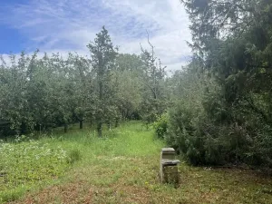 Pronájem sadu/vinice, Praha - Točná, Ke starému hřišti, 3842 m2