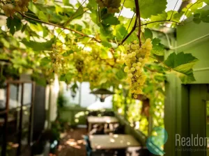 Pronájem restaurace, Protivín - Chvaletice, 320 m2