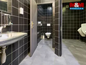 Pronájem obchodního prostoru, Uherský Brod, Moravská, 205 m2