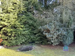 Prodej rodinného domu, Srby, 155 m2