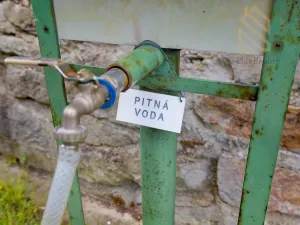 Prodej chaty, Děčín - Děčín VI-Letná, 544 m2