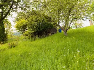 Prodej chaty, Děčín - Děčín VI-Letná, 544 m2