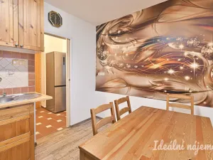 Pronájem bytu 1+1, Brno, Sibiřská, 28 m2