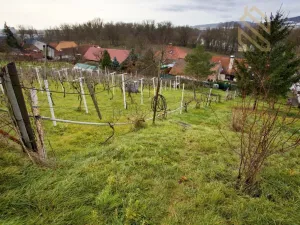 Prodej rodinného domu, Velké Žernoseky, 235 m2