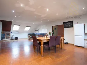 Prodej vícegeneračního domu, Řehlovice - Brozánky, 300 m2