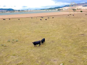 Prodej pozemku pro bydlení, Libčeves - Charvatce, 2000 m2