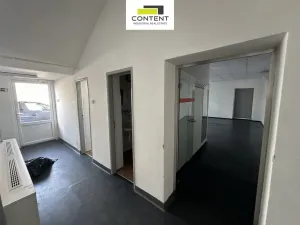 Pronájem výrobních prostor, Praha - Hostivař, U továren, 4905 m2