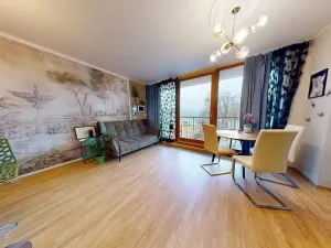 Prodej bytu 2+kk, Karlovy Vary, Na Vyhlídce, 68 m2