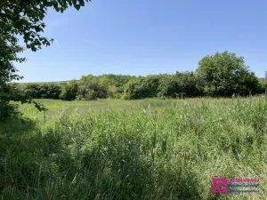 Prodej pozemku pro bydlení, Diváky, 7284 m2