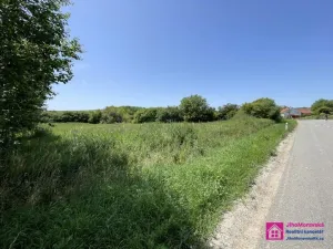 Prodej pozemku pro bydlení, Diváky, 7284 m2