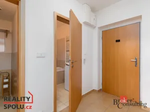 Prodej bytu 2+kk, Plzeň, 60 m2