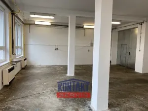 Pronájem skladu, České Budějovice - České Budějovice 4, 115 m2