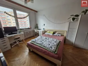 Pronájem atypického bytu, Olomouc - Nová Ulice, Čajkovského, 20 m2