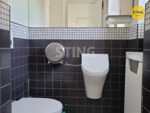 Pronájem kanceláře, Ostrava, Prokopa Velikého, 56 m2