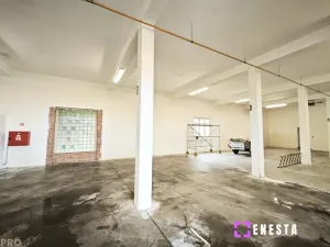 Pronájem skladu, Tursko, 619 m2